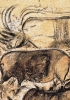 La presenza in questo ciclo di affreschi di animali come i rinoceronti e leoni è prova dei mutamenti climatici avvenuti nel corso dei millenni. (20.000-17.500 a.C.)
