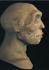 Ricostruzione dell’aspetto del volto di Homo antecessor sulla base del cranio ritrovato ad Atapuerca, in Spagna, negli anni Novanta del XX secolo. (Barcellona, Museo di Archeologia di Catalogna)