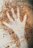 Figure dipinte nella grotta Cosquer: una mano umana.
(Foto Gamma, Parigi)