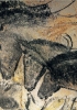 Ciclo pittorico dei cavalli nella grotta Chauvet, nella regione dell’Ardèche (Francia meridionale). La grotta è stata esplorata a partire dal 1994. Oltre ai cavalli, nella grotta sono raffigurati leoni, orsi delle caverne, rinoceronti.