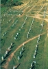 Gli allineamenti di menhir di Carnac (Bretagna) – interpretati come immensi monumenti funerari collettivi – furono eretti nel Neolitico, fra il V e il II millennio a.C., da comunità sedentarie che praticavano l’allevamento e l’agricoltura. 