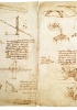 Foglio di studi per la macchina teatrale dell’Orfeo di Poliziano dal codice Arundel di Leonardo da Vinci, circa 1506-08. (Firenze, Uffizi)