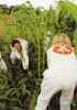 Attivisti di Greenpeace, un’associazione le cui azioni sono spesso spettacolari, distruggono una coltura sperimentale geneticamente modificata a Lyng, in Inghilterra, nel 1999. (Greenpeace - Archives photos)