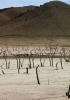 Il lago Isabel in California, ormai prosciugato, documenta le conseguenze dell’agricoltura estensiva e dell’uso indiscriminato delle risorse idriche. (Foto Nik Wheeler - Black Star)