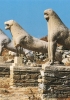 Rituali e processioni si snodavano lungo la via sacra di Delo fiancheggiata dai leoni di marmo donati dagli abitanti dell’isola di Nasso alla fine del VII secolo a.C.