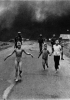 Fuga di un gruppo di bambini, tra i quali Phan Thi Kim Puc,
dal villaggio di Trang Bang bombardato con il napalm
Nick Ut, 9 giugno 1971, Vietnam