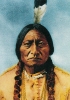 David Frances Barry, Ritratto fotografico di Toro Seduto, 1885.
Tatanka Yotanka (Toro Seduto), celebre capo Sioux, nacque intorno al 1835 e morì nel 1890.
Washington D.C., Library of Congress.