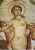 Rappresentata in un pavimento mosaicato del III secolo d.C. di Bulla Regia, in Tunisia. (Foto Hanne e Henri Stierlin)