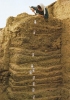 Archeologa al lavoro durante una campagna di scavo (M.A. Hompshire)