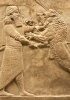 Bassorilievo che rappresenta Assurbanipal che combatte contro un leone. Si trattava di un tipo di combattimento riservato ai soli sovrani (ca. 645 a.C.). Dal Palazzo reale di Ninive, ora al British Museum a Londra 