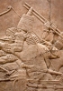 Assurbanipal che combatte i leoni con gli archi, su un carro da guerra, difeso da soldati che evitano gli assalti delle fiere alle spalle (ca. 645 a.C.). Dal Palazzo Nord a  Ninive, ora al British Museum a Londra.